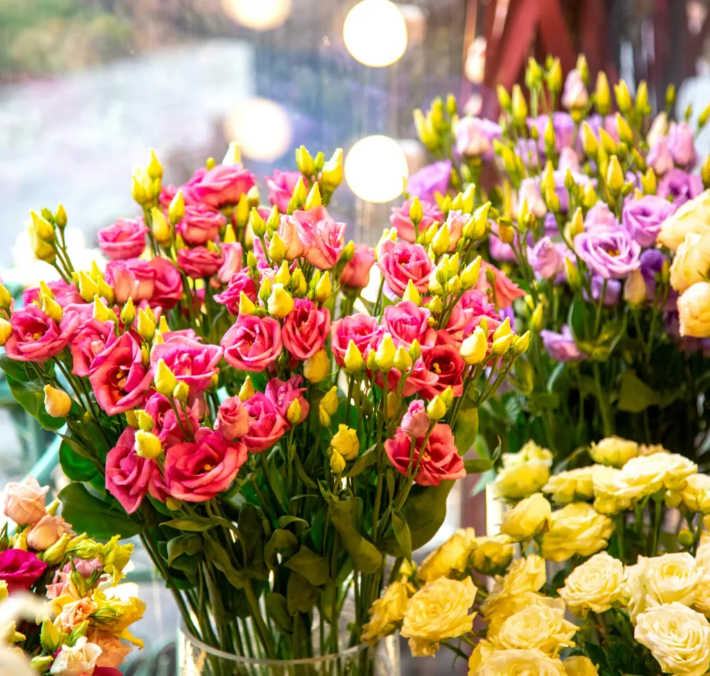 Wholesale Cut Flower Supplier in Bangalore