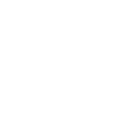 Wide Variety of Flowers